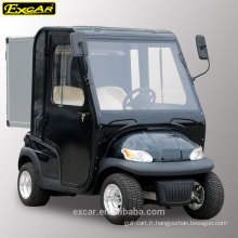 EXCAR 2 places chariot de golf électrique avec des portes hôtel utilitaire buggy voiture